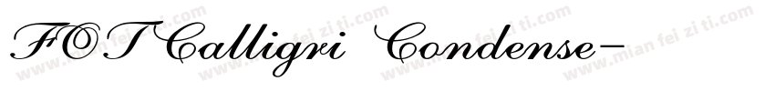 FOTCalligri Condense字体转换